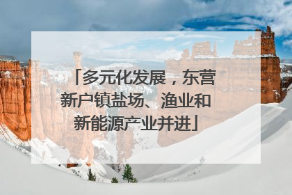 多元化发展，东营新户镇盐场、渔业和新能源产业并进