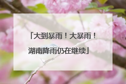 大到暴雨！大暴雨！湖南降雨仍在继续