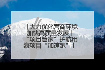 大力优化营商环境 加快高质量发展丨“项目管家”护航用海项目“加速跑”