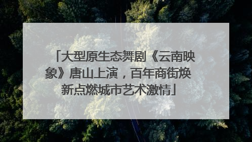 大型原生态舞剧《云南映象》唐山上演，百年商街焕新点燃城市艺术激情