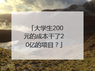 大学生200元的成本干了20亿的项目？