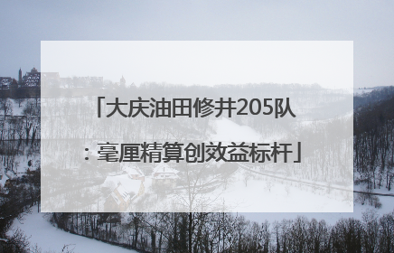 大庆油田修井205队：毫厘精算创效益标杆