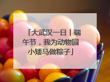 大武汉一日丨端午节，我为动物园小矮马做粽子