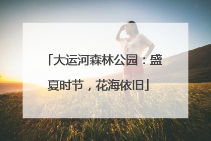 大运河森林公园：盛夏时节，花海依旧