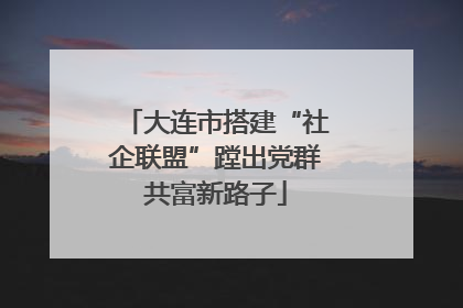 大连市搭建“社企联盟”蹚出党群共富新路子