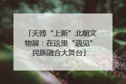 天博“上新”北朝文物展：在这里“遇见”民族融合大舞台