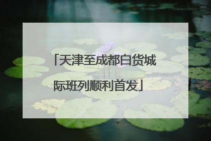 天津至成都白货城际班列顺利首发