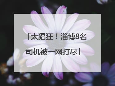 太猖狂！淄博8名司机被一网打尽