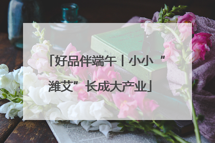 好品伴端午丨小小“潍艾”长成大产业