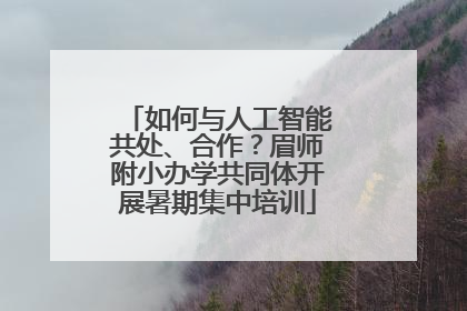 如何与人工智能共处、合作？眉师附小办学共同体开展暑期集中培训