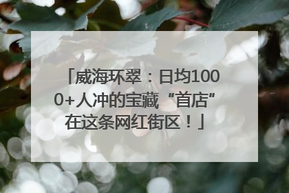 威海环翠：日均1000+人冲的宝藏“首店”在这条网红街区！