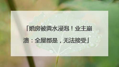 婚房被粪水浸泡！业主崩溃：全屋都是，无法接受