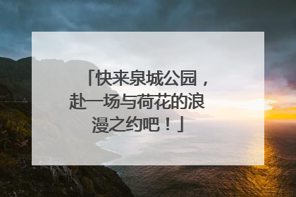 快来泉城公园，赴一场与荷花的浪漫之约吧！