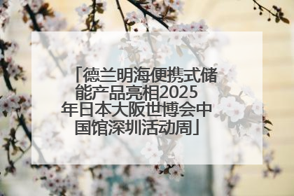 德兰明海便携式储能产品亮相2025年日本大阪世博会中国馆深圳活动周