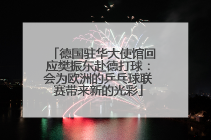 德国驻华大使馆回应樊振东赴德打球：会为欧洲的乒乓球联赛带来新的光彩