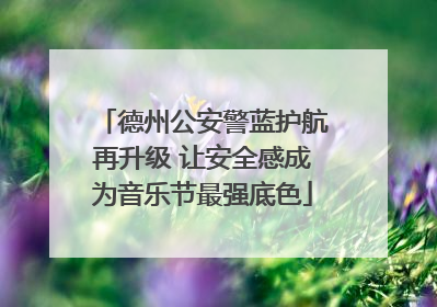 德州公安警蓝护航再升级 让安全感成为音乐节最强底色
