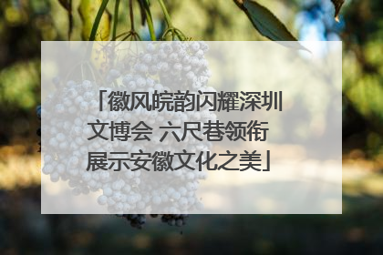 徽风皖韵闪耀深圳文博会 六尺巷领衔展示安徽文化之美