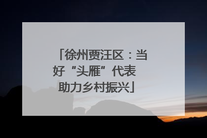 徐州贾汪区：当好“头雁”代表 助力乡村振兴