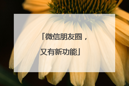 微信朋友圈，又有新功能
