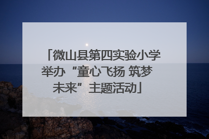 微山县第四实验小学举办“童心飞扬 筑梦未来”主题活动