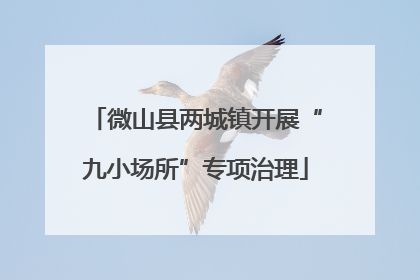微山县两城镇开展“九小场所”专项治理