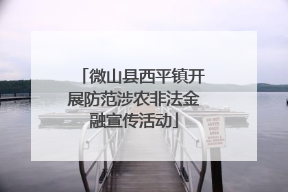 微山县西平镇开展防范涉农非法金融宣传活动