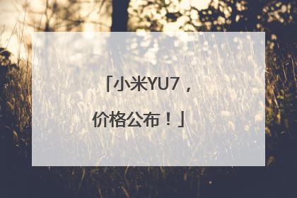 小米YU7，价格公布！