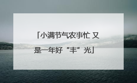 小满节气农事忙 又是一年好“丰”光