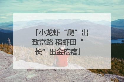 小龙虾“爬”出致富路 稻虾田“长”出金疙瘩