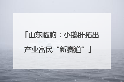 山东临朐：小鹅肝拓出产业富民“新赛道”