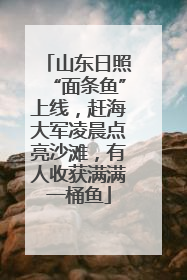 山东日照“面条鱼”上线，赶海大军凌晨点亮沙滩，有人收获满满一桶鱼