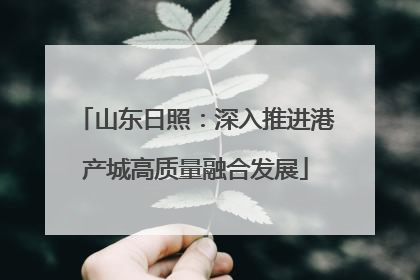 山东日照：深入推进港产城高质量融合发展