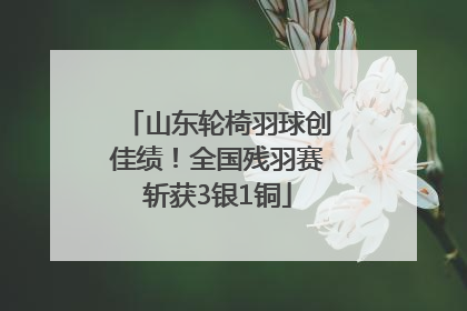 山东轮椅羽球创佳绩！全国残羽赛斩获3银1铜