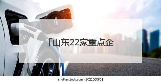 山东22家重点企业亮相第九届丝绸之路国际博览会