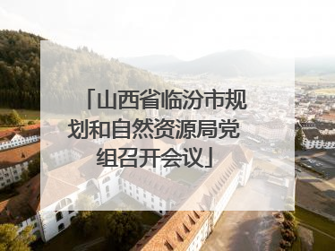 山西省临汾市规划和自然资源局党组召开会议