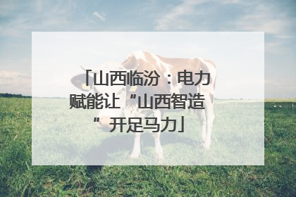 山西临汾：电力赋能让“山西智造”开足马力