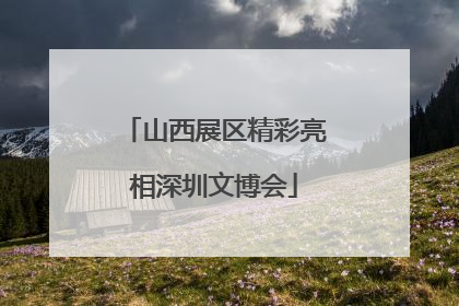 山西展区精彩亮相深圳文博会