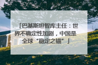 巴基斯坦智库主任：世界不确定性加剧，中国是全球“稳定之锚”