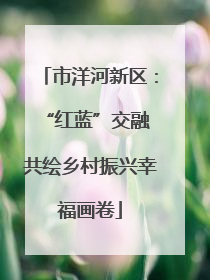 市洋河新区：“红蓝”交融 共绘乡村振兴幸福画卷