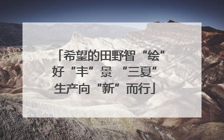 希望的田野智“绘”好“丰”景 “三夏”生产向“新”而行