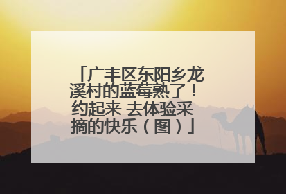 广丰区东阳乡龙溪村的蓝莓熟了！约起来 去体验采摘的快乐（图）