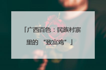广西百色：民族村寨里的 “致富鸡”