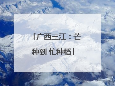 广西三江：芒种到 忙种稻