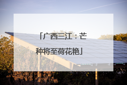 广西三江：芒种将至荷花艳