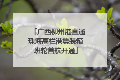 广西柳州港直通珠海高栏港集装箱班轮首航开通