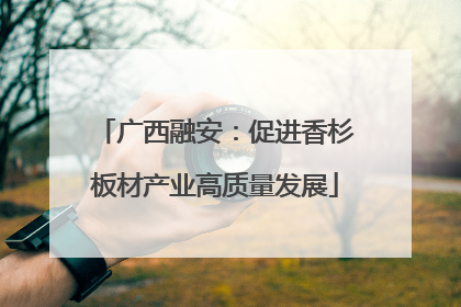 广西融安：促进香杉板材产业高质量发展