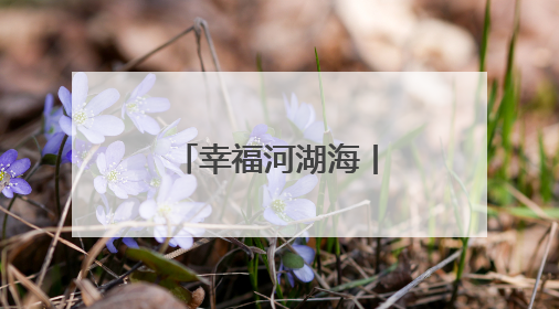 幸福河湖海丨以文润城引领城市万象更新