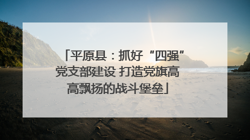 平原县：抓好“四强”党支部建设 打造党旗高高飘扬的战斗堡垒