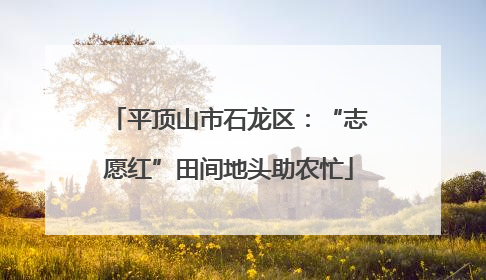 平顶山市石龙区：“志愿红”田间地头助农忙