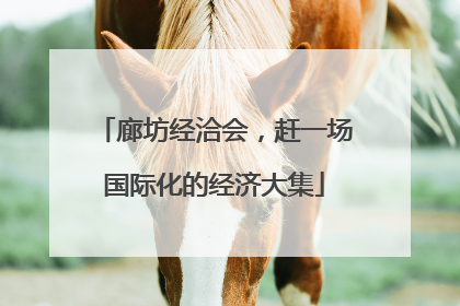 廊坊经洽会，赶一场国际化的经济大集